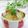 Satoco❋'s cooksnap of when they made そうめんかぼちゃのさっぱりサラダ.