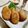 いなばっくす☆'s cooksnap of when they made 簡単おつまみ★さつま揚げ★お弁当にも.