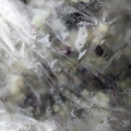 あっしゅぱぱ's cooksnap of when they made みょうがの保存は冷凍です。.