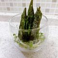 yummysunny's cooksnap of when they made しそ巻きおくらの麺つゆ浸し.