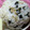 ゆけり３兄弟's cooksnap of when they made わかめとゴマのおにぎり.