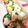 no1642's cooksnap of when they made 豚バラ肉とレタスのあんかけうどん.
