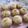 紅葉ｙ's cooksnap of when they made カフェプチパン✿ブドウ✿チョコチップ.