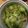 ほのぼのいっこ's cooksnap of when they made 切干大根の酢の物.