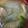 あゆたっくん's cooksnap of when they made 豆苗と玉ねぎの味噌汁.