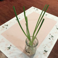 こつゆ514's cooksnap of when they made 青ネギ再生法.