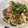 明日の風☆'s cooksnap of when they made 簡単ナスの浅漬け.