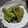 dimbula121's cooksnap of when they made 丸ごとししとうの甘辛煮.