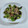 みぽぽ37's cooksnap of when they made ししとうのグリル焼き.