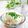 Satoco❋'s cooksnap of when they made ◎水浸しにならない！冷奴作り置きの裏技◎.