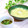 Satoco❋'s cooksnap of when they made 博多の夜のラーソーメン（ふとっぱら風）.