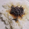 まやしゅうまま's cooksnap of when they made パパのお気に入りおにぎり❤.