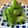 ＊ono＊'s cooksnap of when they made 切ってもむだけ♪簡単キュウリのからし漬け.