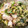 kiyo0120's cooksnap of when they made 鶏ささみと きゅうりの ✿梅味噌和え✿.