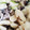 クックAW1F6J☆'s cooksnap of when they made ◆切干大根の戻し汁で旨い味噌汁◆.