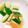 seacomet's cooksnap of when they made あえるだけ☆やみつききゅうり.