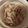 ヴィーナスけい's cooksnap of when they made 冷しゃぶサラダのコツ.