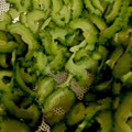 MULA's cooksnap of when they made ワタを取らないゴーヤの下ごしらえ.