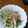 ramieru's cooksnap of when they made きゅうり長芋オクラの梅おかかぽんず和え.