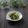 まろんかふぇ's cooksnap of when they made きゅうりと香味野菜の胡麻味噌ナムル.