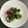 ひさかた's cooksnap of when they made 虹色菜（スイスチャード）のおひたし.