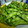 のすけのすけ's cooksnap of when they made ＊簡単♪美味しい枝豆のゆで方＊.