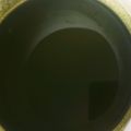 くむちん's cooksnap of when they made 抹茶シロップ＠かき氷用.