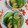赤い電話's cooksnap of when they made きゅうりのしょうゆ 漬け 簡単.