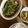料理ニガテ系女子☆'s cooksnap of when they made シャキシャキ☆豚バラ肉と豆苗のもやし炒め.