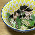 ayayahoney's cooksnap of when they made オクラとツナの甘酢だれ和え.