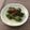 ちびどんキッチン's cooksnap of when they made 簡単▶ピリ辛◀しし唐とじゃこのあま辛炒め.