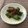 ちびどんキッチン's cooksnap of when they made 簡単▶ピリ辛◀しし唐とじゃこのあま辛炒め.