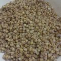 長野市えみちゃん's cooksnap of when they made 炊飯器で簡単！雑穀「そば」の炊き方.