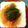xyzクック's cooksnap of when they made 塩麹で♪夏野菜ラタトゥイユ♪.
