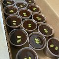 よねお's cooksnap of when they made 濃厚！美味しいチョコレート★ムースケーキ.