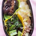 わたさな2016's cooksnap of when they made キャベツとひき肉のオイスターソース炒め.