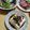よちりん's cooksnap of when they made しらすと柴漬けの冷奴＊.