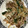 tomtosh's cooksnap of when they made 豚肉とニラもやしのオイスターソース炒め.