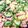 おかけこ's cooksnap of when they made 高野豆腐deマヨネーズゴーヤちゃんぷるー.