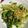 クックH39E88☆'s cooksnap of when they made ほうれん草ともやしのナムル.