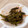 bibichann's cooksnap of when they made ししとうの味噌炒め.