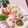 クックHG9V8Y☆'s cooksnap of when they made バゲットにパルメザンディップ♪.