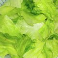 yama_miu's cooksnap of when they made 目からウロコのレタスの洗い方.