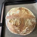 Nomi-chan's cooksnap of when they made **自家製酵母のカンパーニュ**.