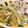 みっくママ's cooksnap of when they made 簡単#ネギ焼きそば.