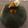 クック0GF8C9☆'s cooksnap of when they made 大発明・丸ごとかぼちゃの切り方.