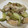 papikun's cooksnap of when they made 鶏むね肉ときゅうりの塩炒め.