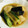 ｂｅｒｒｙ＋'s cooksnap of when they made 鷄むね肉と夏野菜のおろし煮.