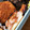 mantacarp's cooksnap of when they made ちくわのハムマヨ焼き.