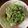 0720まま's cooksnap of when they made プロ直伝！呑める「ねぎまみれ冷や奴」.